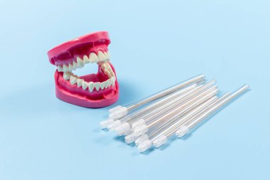 Mavi arkaplanda tükürük püskürtücüleri olan bir insan çene düzeninin yakın görüntüsü.