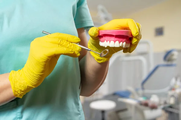 Dentysta Lateksowych Rękawiczkach Układem Szczęki Lusterkiem Ust — Zdjęcie stockowe