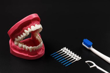Siyah arkaplanda insan çene düzeni, silikon diş ipi kürdanı ve interdental kürdan fırçaları.