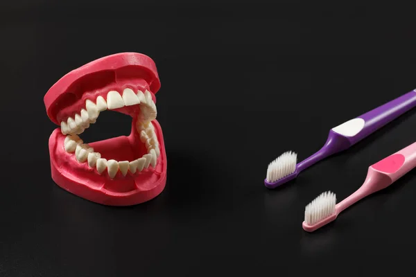 Human Jaw Layout Toothbrushes Black Background — Stock Photo, Image