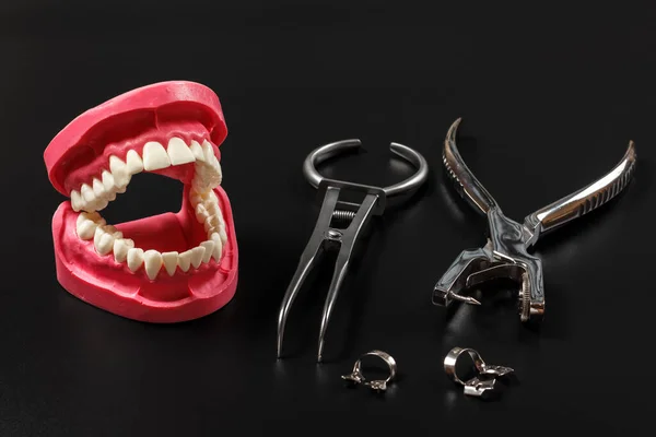 Layout Mandíbula Humana Com Uma Força Represa Borracha Perfuração Dentária — Fotografia de Stock