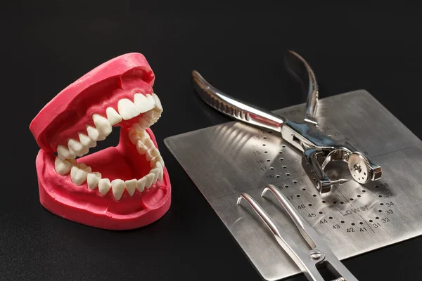 Layout Mandíbula Humana Com Uma Força Represa Borracha Perfuração Dentária — Fotografia de Stock