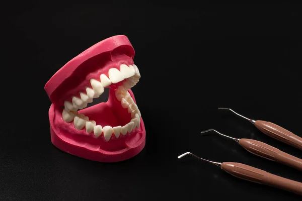 Set Instruments Dental Treatment Layout Human Jaw Dental Restoration Instruments — Stock Photo, Image