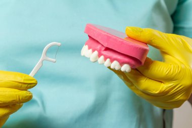 Dentist with floss toothpick and layout of the human jaw.