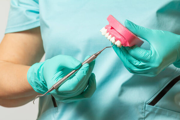 Dentists hands with layout of the human jaw and dental instrument.