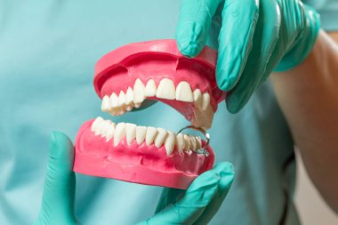 Lateks eldivenli dişçi, insan çenesinin düzeniyle..