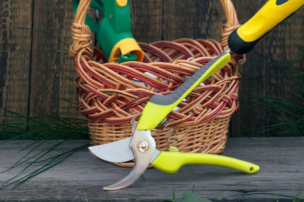 柳条筐 手拿着花园铲子 在篱笆前修剪 园艺工具 — 图库照片