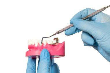 Diş hekimlerinin eldiven giyip, insan çenesinin dizilişini ve beyaz izole arka planda evrensel bir küp oluşturduğu yakın plan görüntüsü. Tıbbi araçlar konsepti.