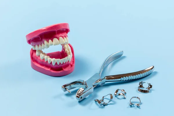 Układ Ludzkiej Szczęki Dziurką Zębie Zaciskami Niebieskim Tle Koncepcja Narzędzi — Zdjęcie stockowe