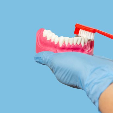 Close-up view of the hand with a human jaw layout and a toothbrush on blue.