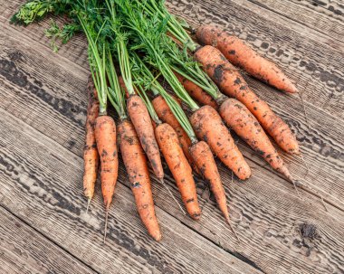 Tahtalardan sadece havuç topladım. Sadece taze havuç topladım. Bahçeyi kazdıktan sonra olgun havuçlar. Üst görünüm.