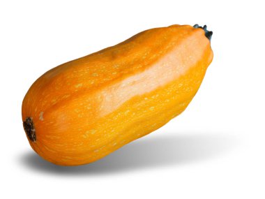 Just picked ripe zucchini on the white isolated background. Just harvested vegetables.