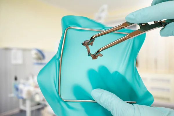 Dentist\'s hands in latex gloves with a rubber dam clamp forceps, a rubber dam and a metal frame with a detal clinic on the background. Medical tools concept.