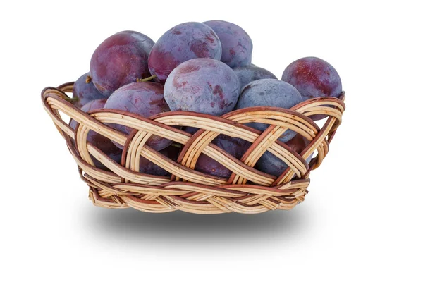 Just Picked Ripe Plums Wicker Basket White Isolated Background Just — Zdjęcie stockowe