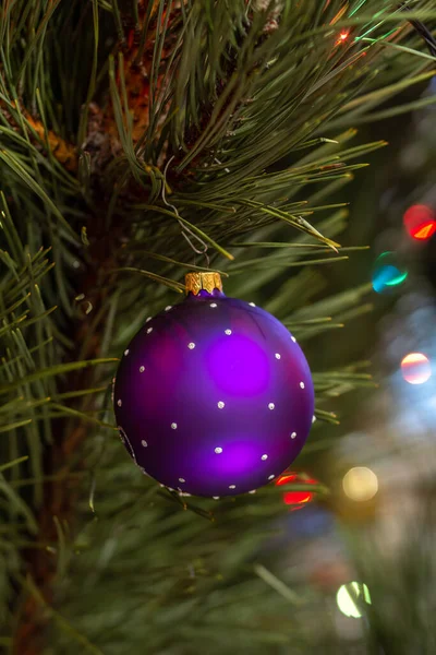 Close Tak Van Kerstboom Met Speelgoedbal Fonkelende Feestverlichting Kerst Nieuwjaarsconcept — Stockfoto