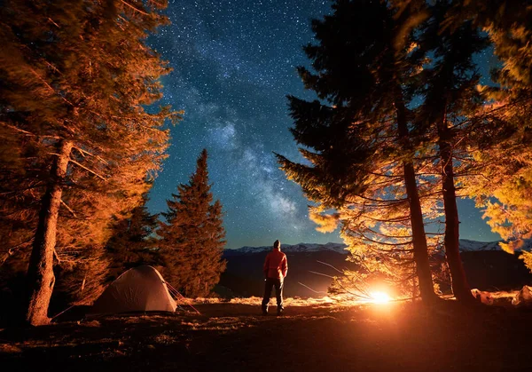 Natt camping under stjärnhimlen bland träden. — Stockfoto
