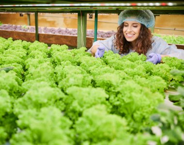 Neşeli kadın bahçıvan serada bitki büyümesini kontrol ediyor..