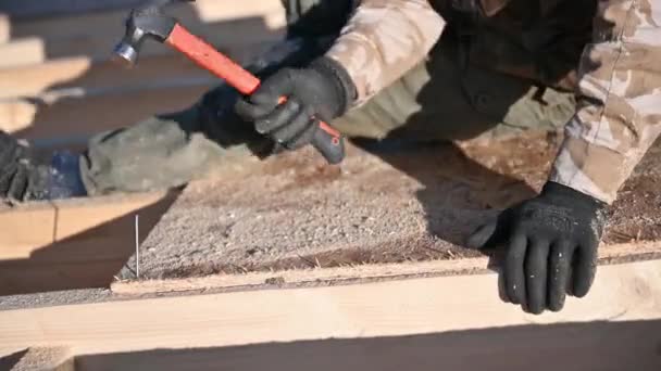 Snickare hamrar spik i OSB-panelen samtidigt bygga trä ram hus. — Stockvideo