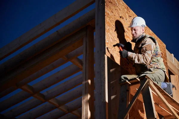 Marangoz, gece vakti OSB paneline çivi çakıyor. Ahşap çerçeve inşa eden bir işçi. Marangozluk ve inşaat konsepti.