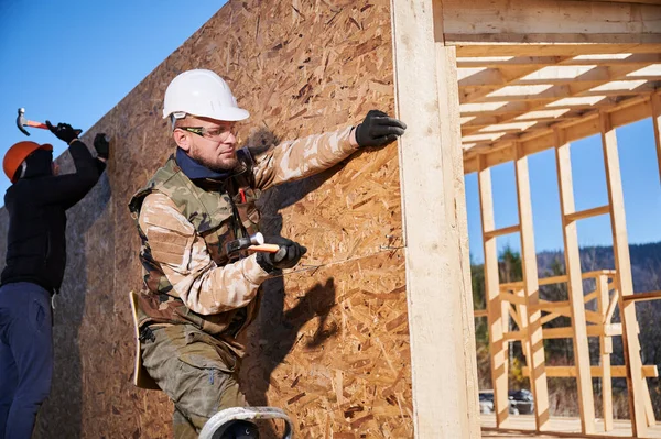 Marangozlar, OSB panelinin duvarına çivi çakıyor. Erkek işçiler ahşap çerçeve inşa ediyorlar. Marangozluk ve inşaat konsepti.