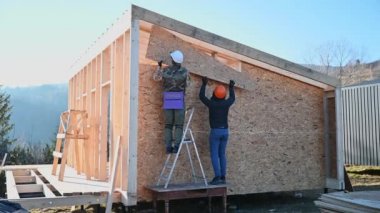 Carpenters mounting wooden OSB board on the wall of future cottage. Men workers building wooden frame house on pile foundation. Carpentry and construction concept.