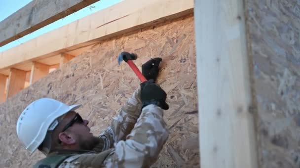Marangoz Osb Panelinin Duvarına Çivi Çakıyor Ahşap Çerçeve Inşa Eden — Stok video