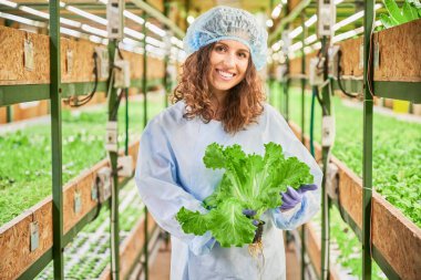Serada elinde yeşil marul tutan neşeli kadın bahçıvan kameraya bakıyor. Tek kullanımlık şapkalı mutlu kadın tarım uzmanı elinde yapraklarla fidelerle rafların arasında duruyor..