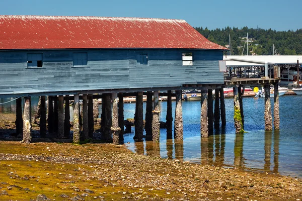 Eski balıkçı dock düşük tide gig harbor washington Eyaleti — Stok fotoğraf