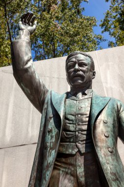 Theodore roosevelt heykel ada washington dc