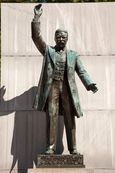 Estatua de Theodore Roosevelt Island Washington DC — Foto de Stock