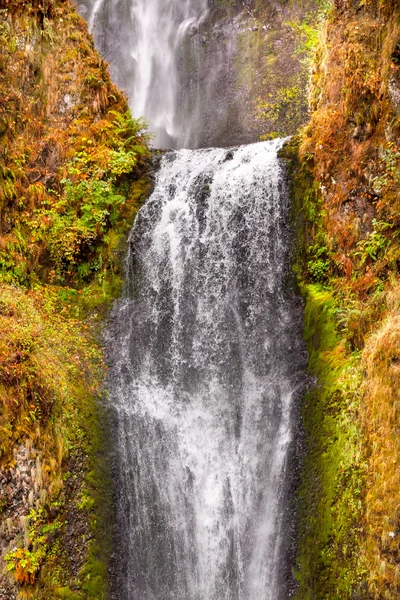 Multnomah falls wodospad columbia river wąwóz oregon Pacyfiku nie — Zdjęcie stockowe