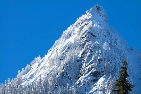 McClellan butte śniegiem szczyt, snoqualme przekazać washington — Zdjęcie stockowe