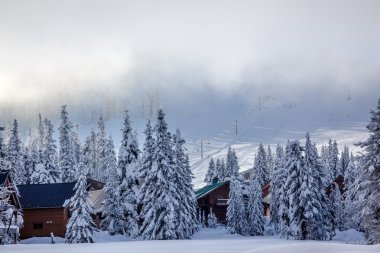 sking snoqualme, sis chairlifts altında pass washington