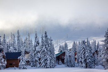 Sking Under the Fog Chairlifts at Snoqualme Pass Washington clipart