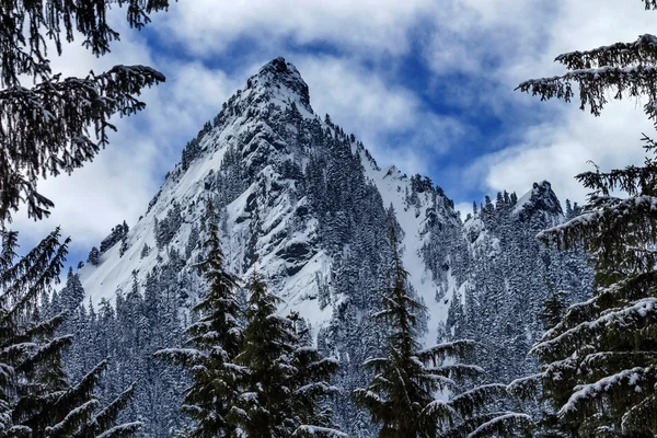 McClellan butte snow mountain peak genom träd snoqualme passera — Stockfoto