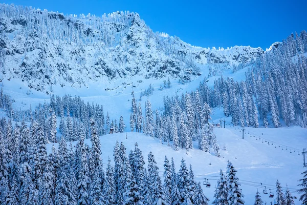 Kar dağ sking chairlifts snoqualme, washington geçmek — Stok fotoğraf
