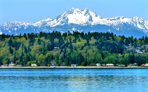 Bainbridge island puget sound Monte Olimpo nieve montaña olympi —  Fotos de Stock