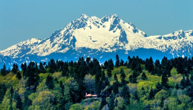 Bainbridge Island Mount Olympus Snow Mountain Olympic National P clipart