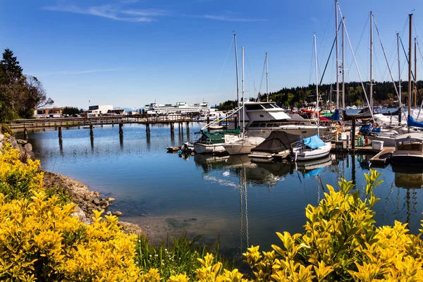 ベイン ブリッジ島港 puget 音ワシントン州 — ストック写真