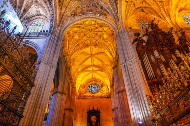 taş sütunlar vitray organ Katedrali saint Mary