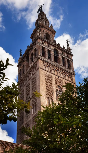 Giralda 钟楼从圣徒玛丽的橙色花园大教堂 — 图库照片