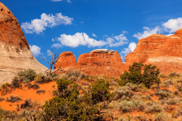 Felsenschlucht Teufel Garten Bögen Nationalpark Moab utah — Stockfoto