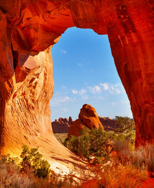 Хвойні дерева Arch дияволів сад Національний парк арки Moab Юта — стокове фото
