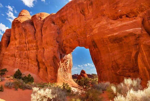 Pine Tree Arch Devils Garden Arches National Park Moab Utah — Stock Photo, Image