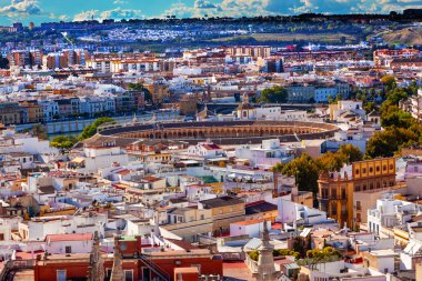 City view boğa yüzük giralda Kulesi seville Katedrali İspanya