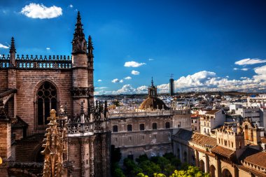 Şehir Manzaralı giralda Kulesi seville Katedrali İspanya