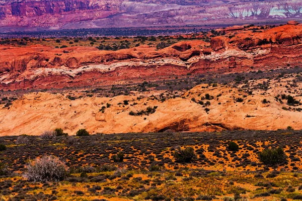 彩绘沙漠黄色草地政橙色红砂岩摩押错 — 图库照片