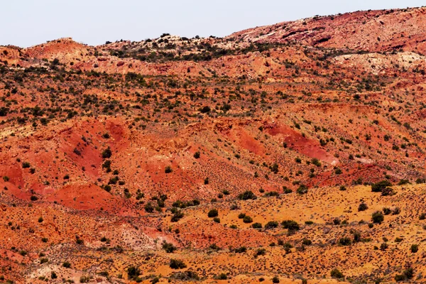Malovaná poušť žluté trávy přistane oranžové pískovcové červená ohnivý kožešina — Stock fotografie
