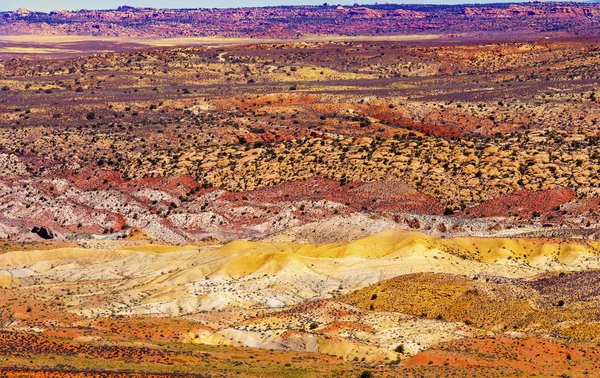 塗装済み完成品砂漠の黄色い草赤オレンジ色の砂岩の燃えるような毛皮を土地します。 — ストック写真