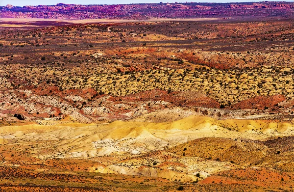 彩绘沙漠黄色草土地橘红色的砂岩火热毛皮 — 图库照片